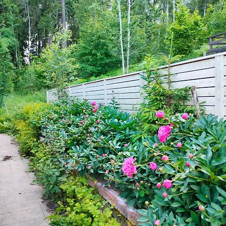 2-3 & Terrace & Balcon * 艾斯堡